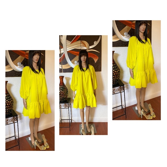 Sunflower Diva - Picture 1 of 1